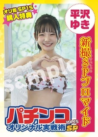 【平沢ゆき特典付】パチンコオリジナル実戦術SP vol.15（2025.8.29発売）